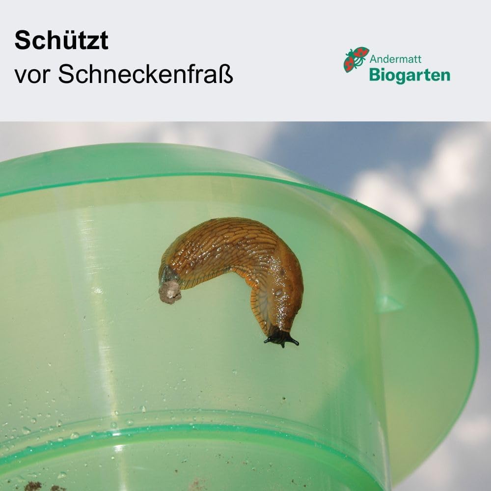 Andermatt Biogarten SchneckenStopp PP 12er Pack + 12 Hauben, natürlicher Schneckenschutz, wiederverw