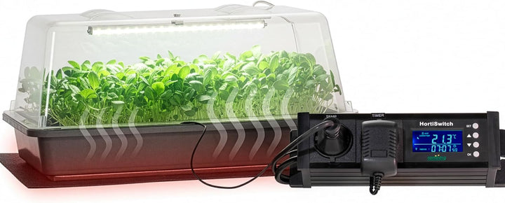 Romberg Climatic M LED | Gewächshaus mit Belüftung | LED Beleuchtung | Heizmatte und Thermostat | 38