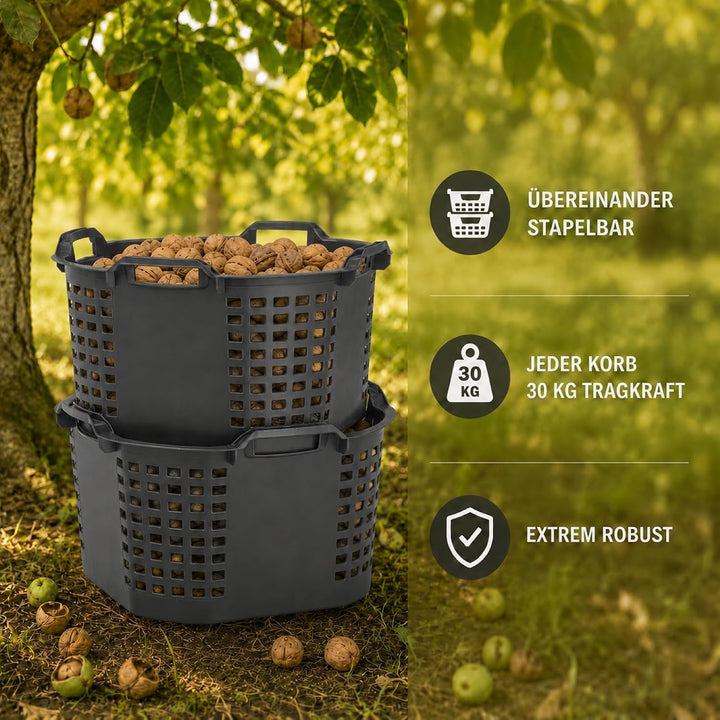 Erntekorb 50 L 10er Set Gartenkorb Grau Lebensmittelecht Obstkorb Robust | BURI, Kartoffelkorb, Lage
