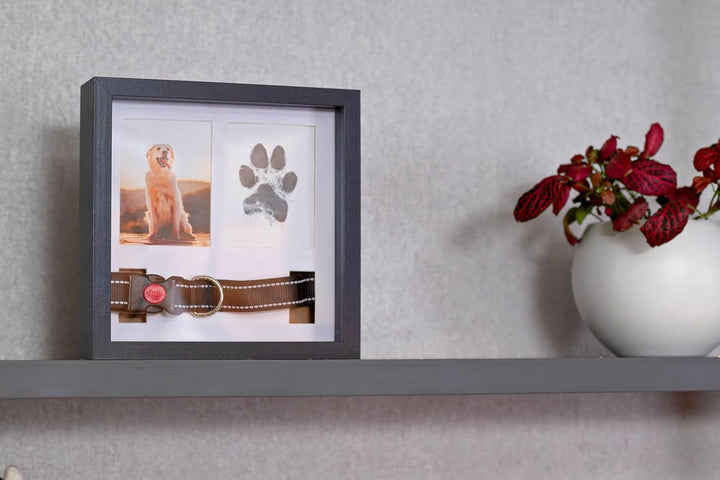 OtterPets Gedenk-Bilderrahmen für Haustiere – Gedenken für Hunde & Katzen – Schattenbox, Black