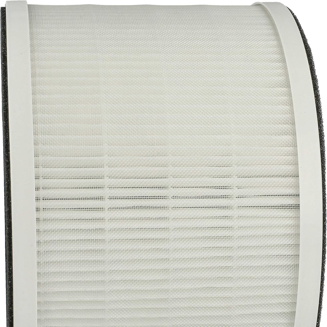 vhbw Luftilter kompatibel mit Medion Life E350 Luftreiniger - Kombifilter Vorfilter + HEPA + Aktivko