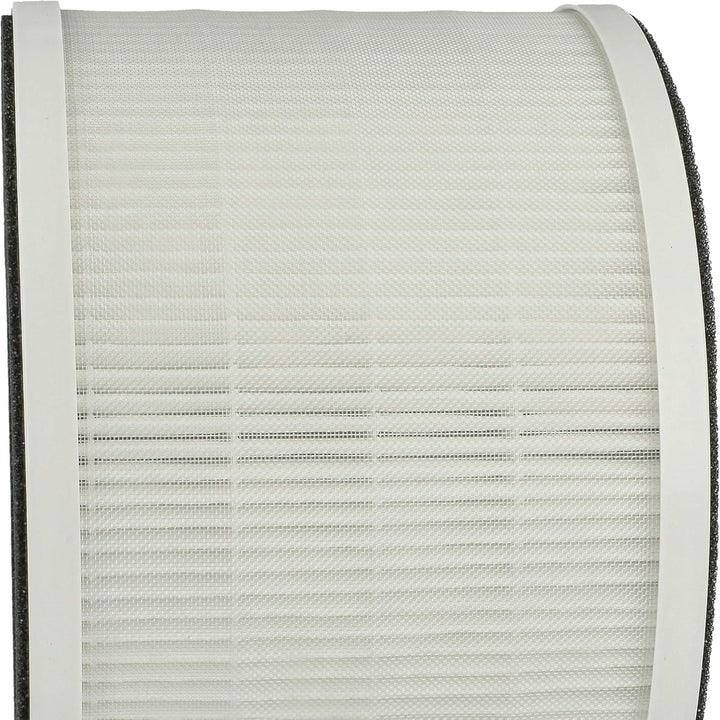 vhbw Luftilter kompatibel mit Medion Life E350 Luftreiniger - Kombifilter Vorfilter + HEPA + Aktivko