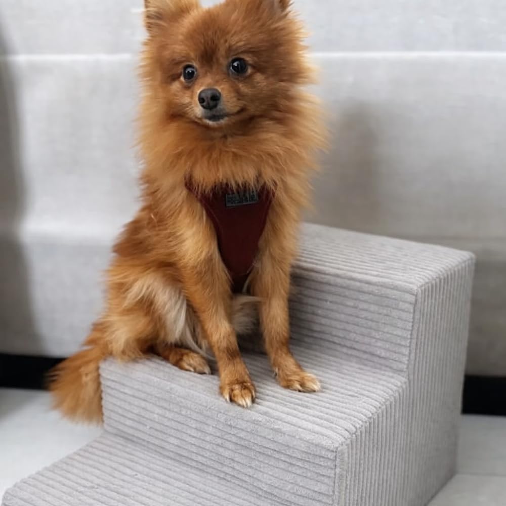 Sofatreppe für Hunde und Katzen – Hundetreppe für Bett & Sofa – 3- oder 4-stufig, rutschfest & wasch