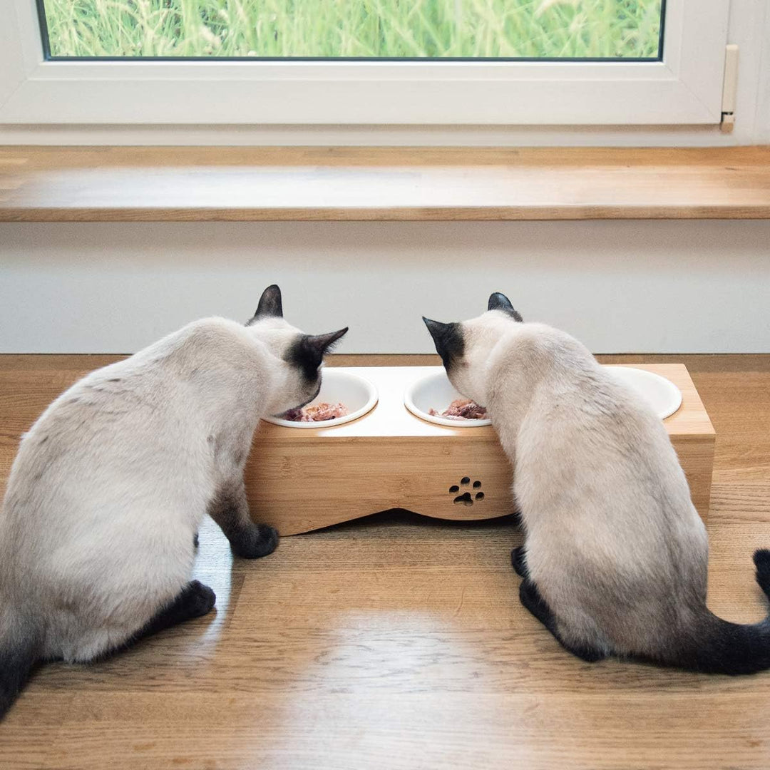 Navaris Futterstation für Katzen und Hunde - Futternapf Set aus Keramik - erhöhter 3er Napf Ständer