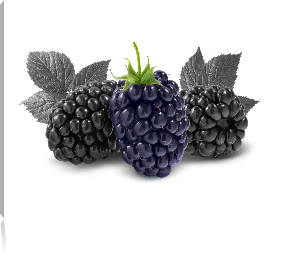 Grosse Brombeeren schwarz/weiss Format: 100x70 cm auf Leinwand, XXL riesige Bilder fertig gerahmt mi