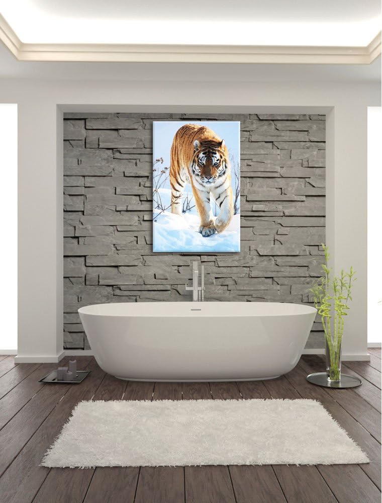 Tiger im Schnee, Format: 100x70 auf Leinwand, XXL riesige Bilder fertig gerahmt mit Keilrahmen, Kuns