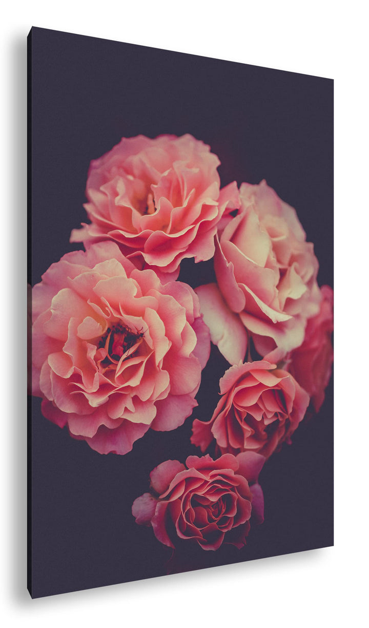 deyoli edle Blumen Format: 80x60 als Leinwand, Motiv fertig gerahmt auf Echtholzrahmen, Hochwertiger