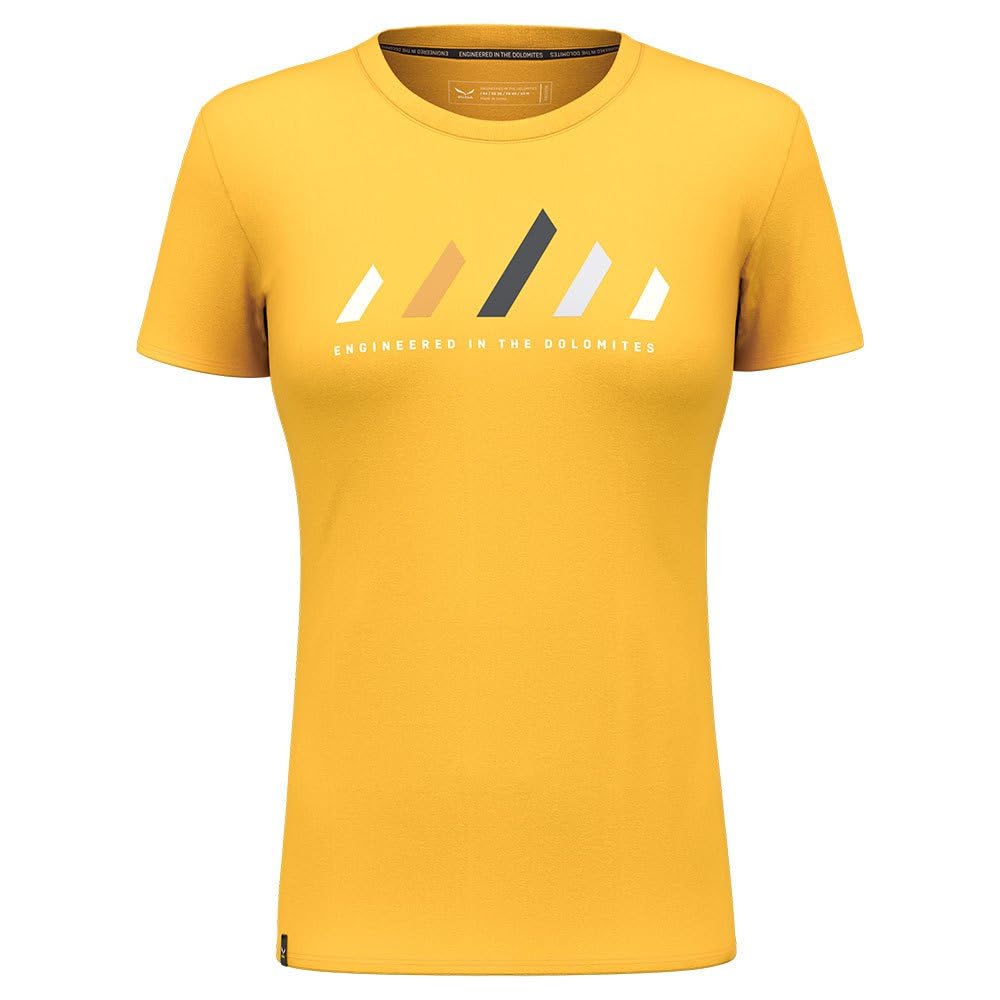 Salewa Damen Pure Stripes Dry W T-Shirt T-Shirt XL Gold, XL Gold