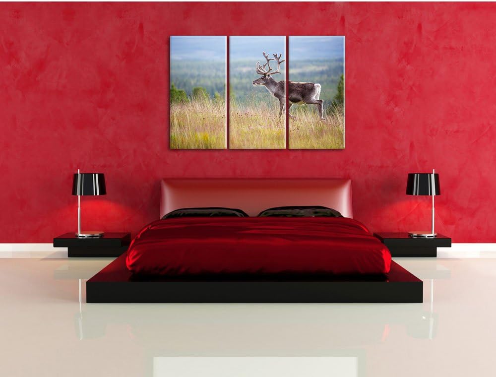 Pixxprint Rentier in Norwegen als Leinwandbild | Grösse: 3 Teilig (120x80) | Wandbild| Kunstdruck |
