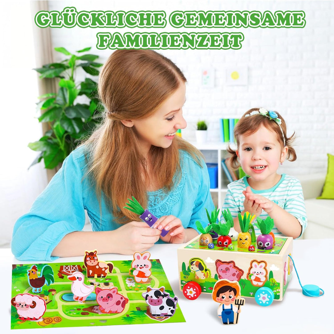 Tooysea Montessori Spielzeug ab 1 2 3 Jahr, Montessori Spielzeug Baby mit Landkarte, Karotten Stecks