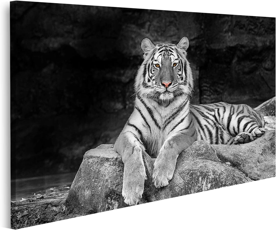 islandburner Bild auf Leinwand Weisse Tiger Wandbild Poster Kunstdruck Bilder Format: 100x57cm, Form