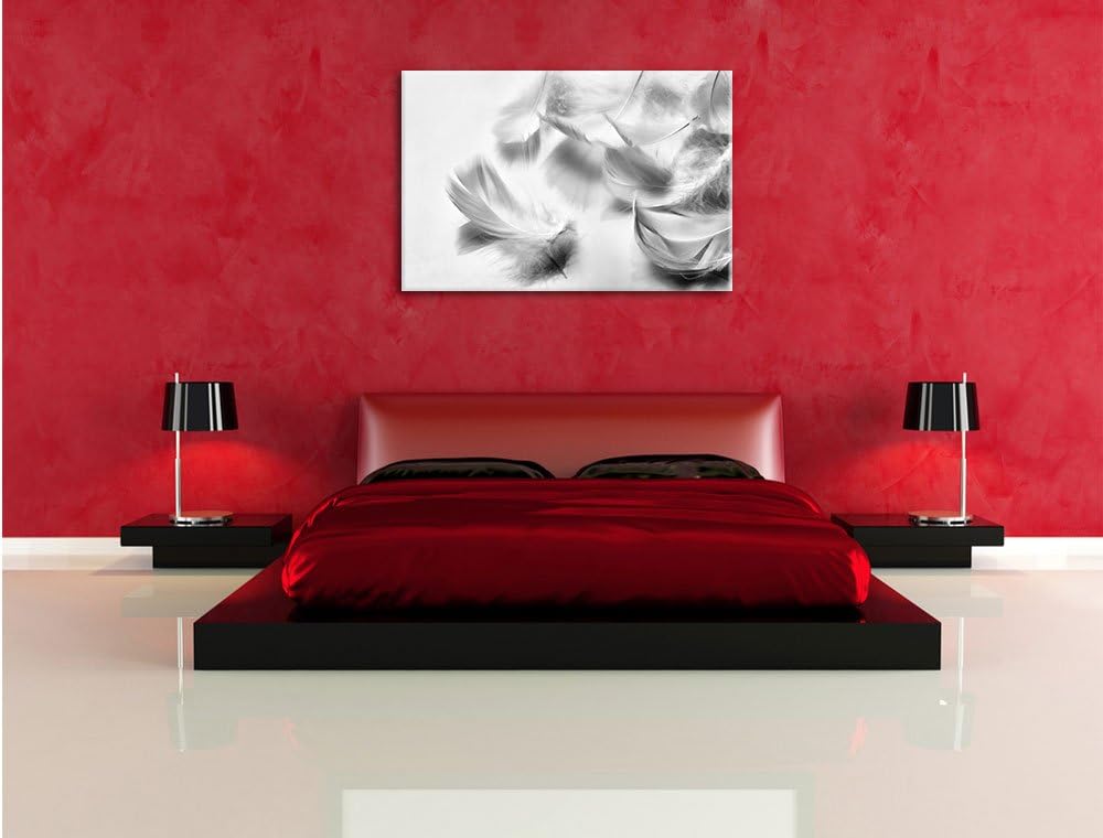 Pixxprint Monocrome, Weisse Feder auf schwarzem Stein, Format: 100x70 auf Leinwand, 100x70