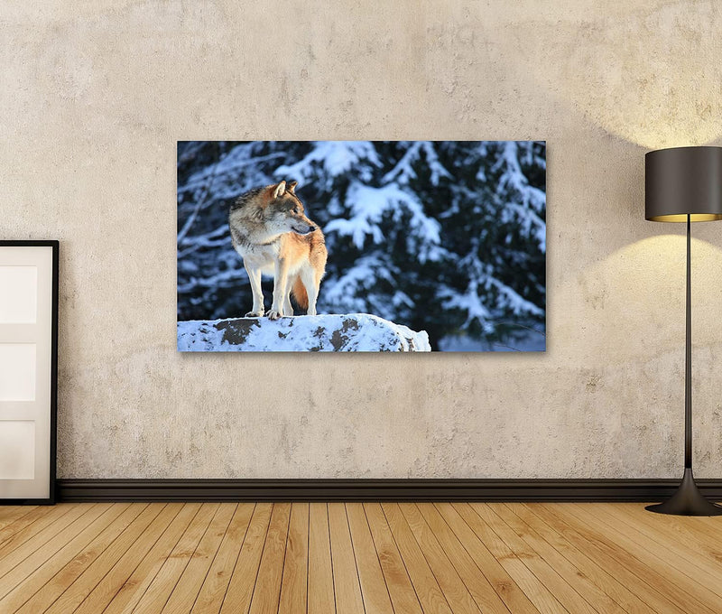 islandburner Bild auf Leinwand Wolf Vor Berg Schnee Bilder Wandbilder Poster Leinwand 100x57cm, Lein