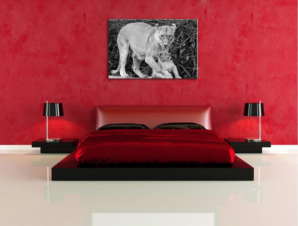 liebevolle Löwin spielt mit Jungtier schwarz/weiss auf Leinwand, XXL riesige Bilder fertig gerahmt m