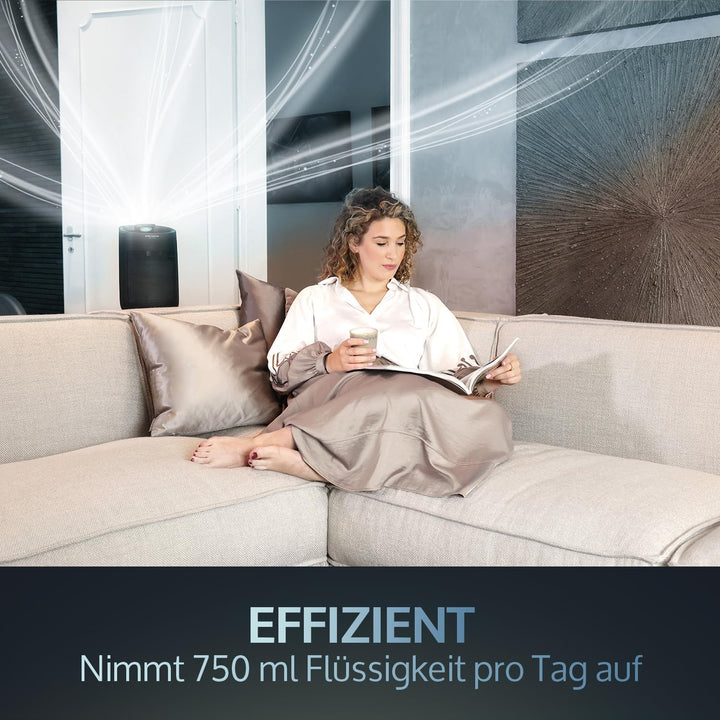 JAP D6 Elektrische Luftentfeuchter - 750ml pro Tag - Feuchtigkeitsregler - Für Wohnzimmer, Schlafzim