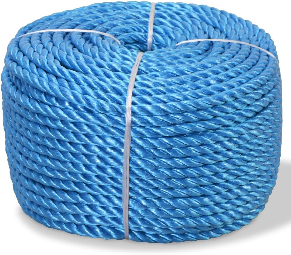 Tidyard Kunststoffseil Polypropylenseil Allzweckseil, Verschleissfest, 10 mm x 100 m Blau