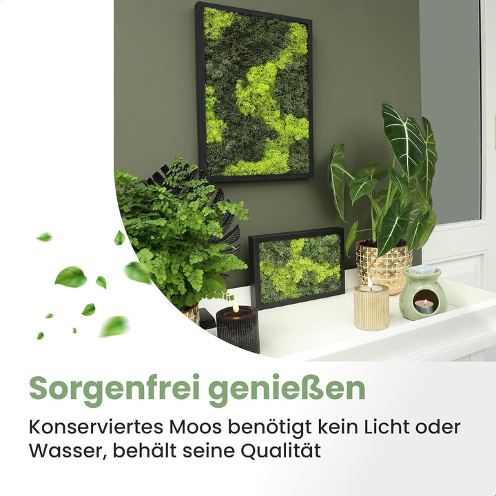 comforder Rechteckiges Wandbild mit echtem Moos (27x38 cm), Konserviertes Moosbild mit Holzrahmen, N