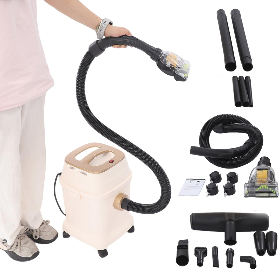Waschsauger 3 in 1,1000W Staubsauger für Teppiche und Polster,Teppichreiniger, Nass-Trocken-Sauger,B
