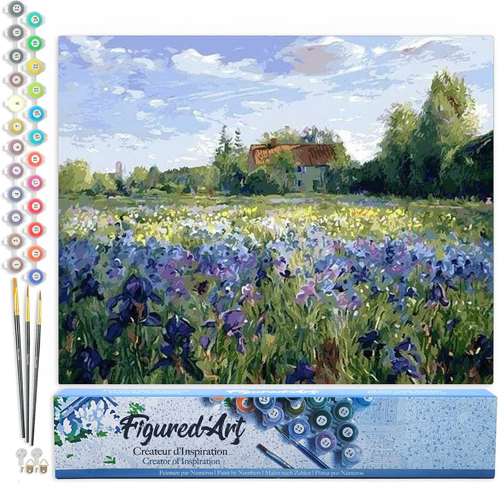 Figured'Art Malen Nach Zahlen Erwachsene Auf dem Land - Paint by Numbers Basteln DIY Bastelset 40x50