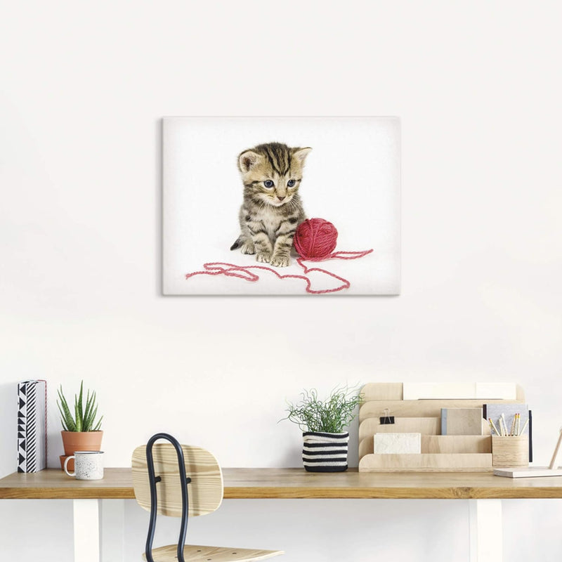 ARTland Leinwandbilder Wandbild Bild auf Leinwand 80x60 cm Katze Tiere Babykatze Haustiere Süss Mädc