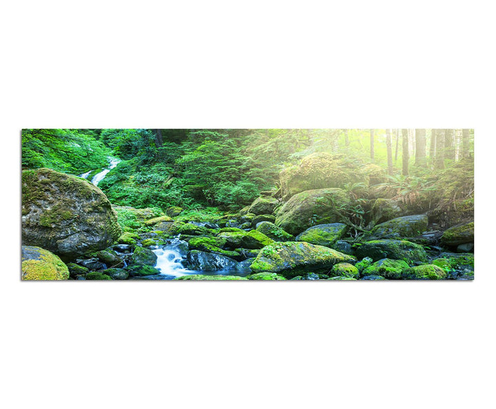 Paul Sinus Art Panoramabild auf Leinwand und Keilrahmen 150x50cm Wald Bäume Bach Steine Sonnenstrahl
