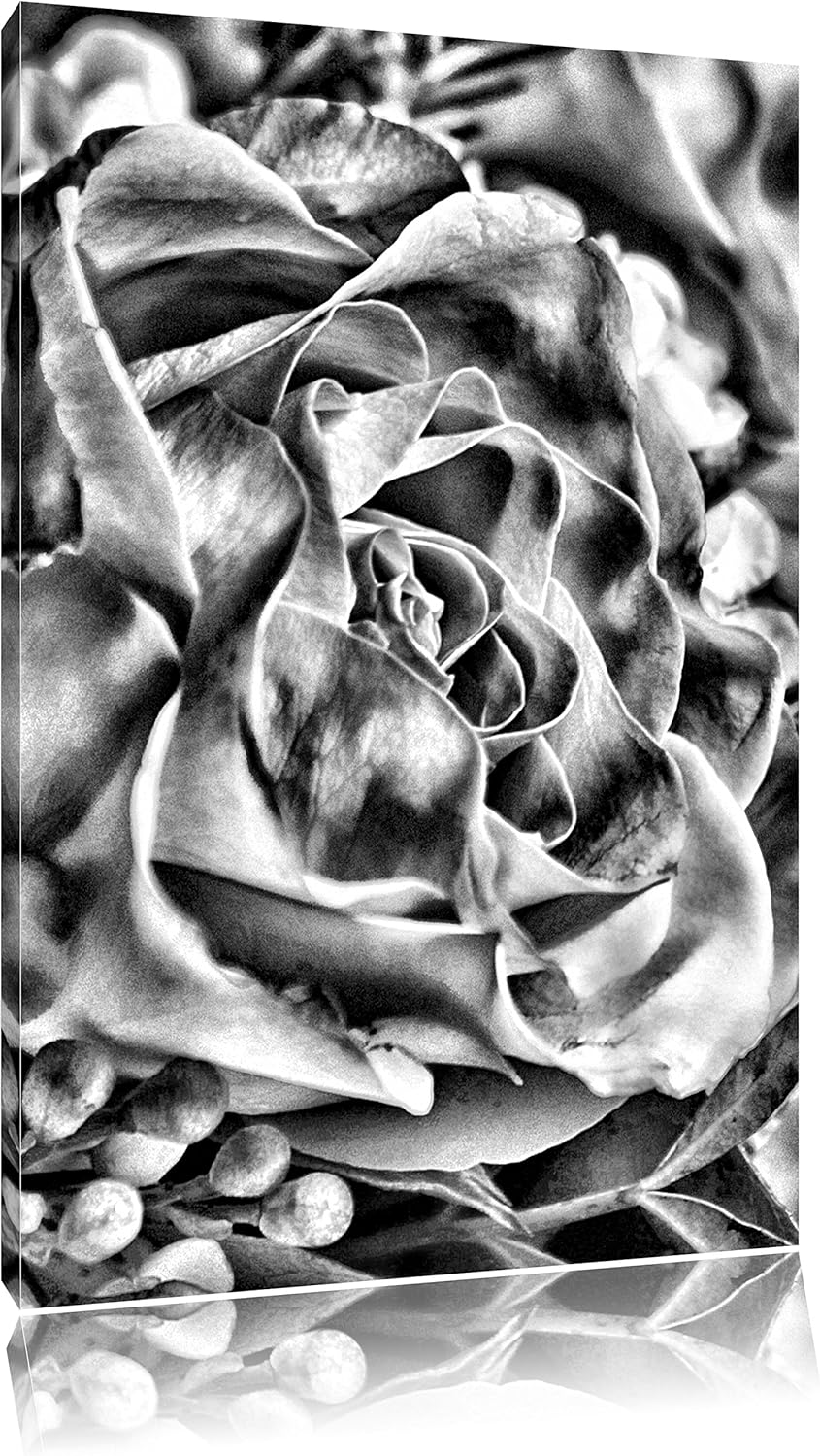 Monocrome, Rosa Rose, Format: 100x70 auf Leinwand, XXL riesige Bilder fertig gerahmt mit Keilrahmen,
