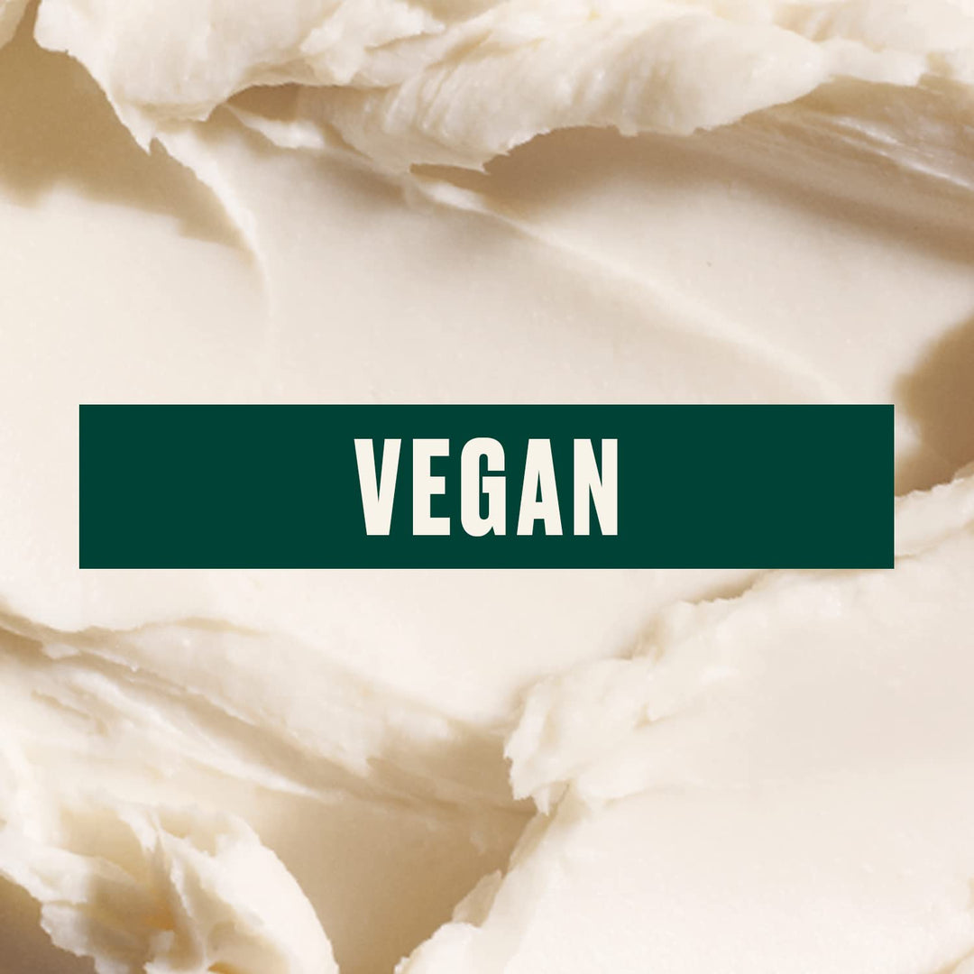 The Body Shop Satsuma Body Butter, 13.5 Ounce by The Body Shop 399.24 ml (1er Pack), 399.24 ml (1er