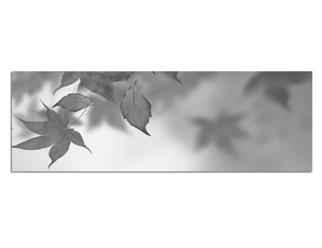 Paul Sinus Art Leinwandfoto als Panorama SCHWARZ/Weiss 150x50cm Herbst Blätter