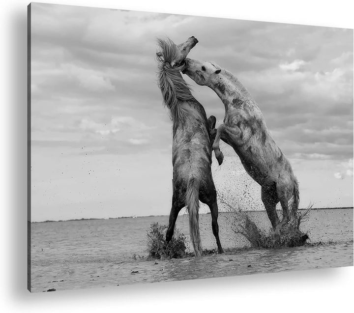 deyoli Schwarz Weiss kämpfende Pferde Format: 100x70 als Leinwandbild, Motiv fertig gerahmt auf Echt