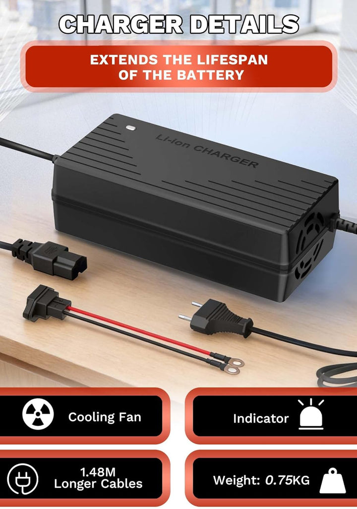 29,2V 10A Lithium Batterie Ladegerät für 24V(25,6) LiFePO4 Batterie, 24V AC-DC Lithium LiFePO4 Batte