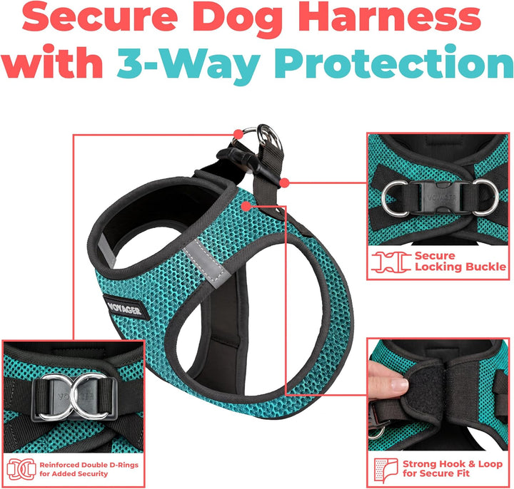 Best Pet Supplies Voyager Step-In Air Hundegeschirr - Allwetter-Mesh-Geschirr für kleine und mittelg