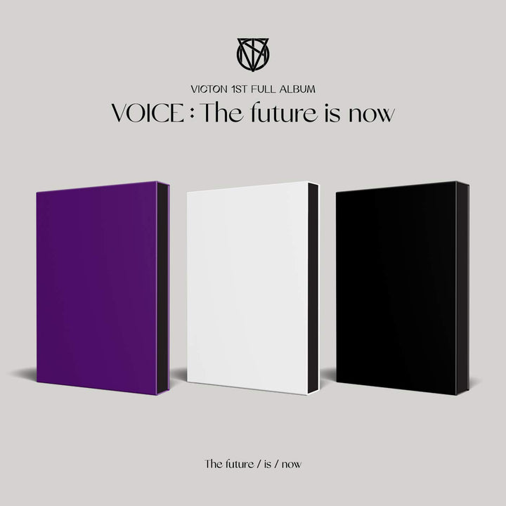 Voice: the Future Is Now-Inkl.Photobook, Audio-CD
