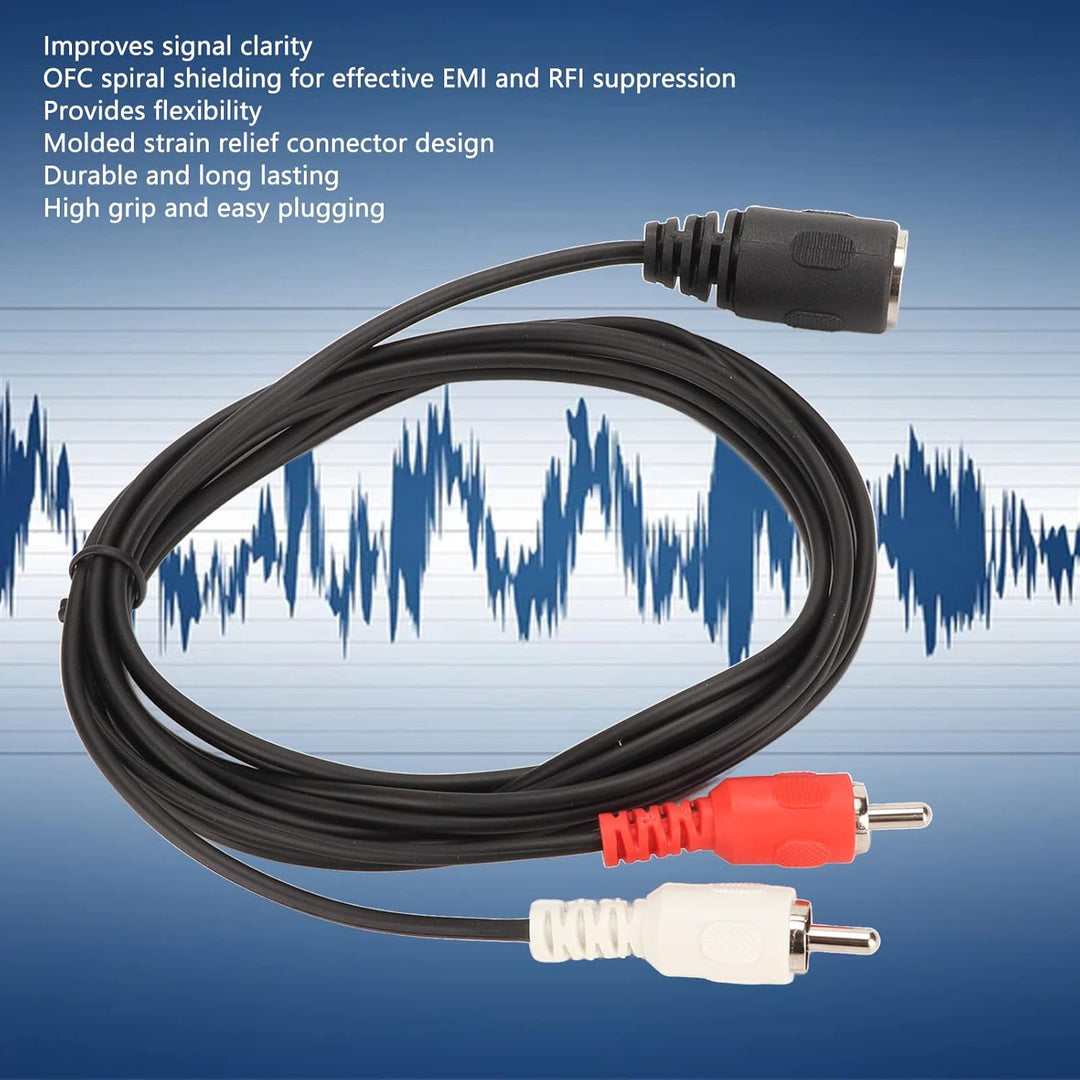 DIN 5 Pin auf Cinch Kabel, 5 Pin DIN Buchse auf 2 Cinch Stecker Kabel für Naim Olufsen Bang Quad Ste