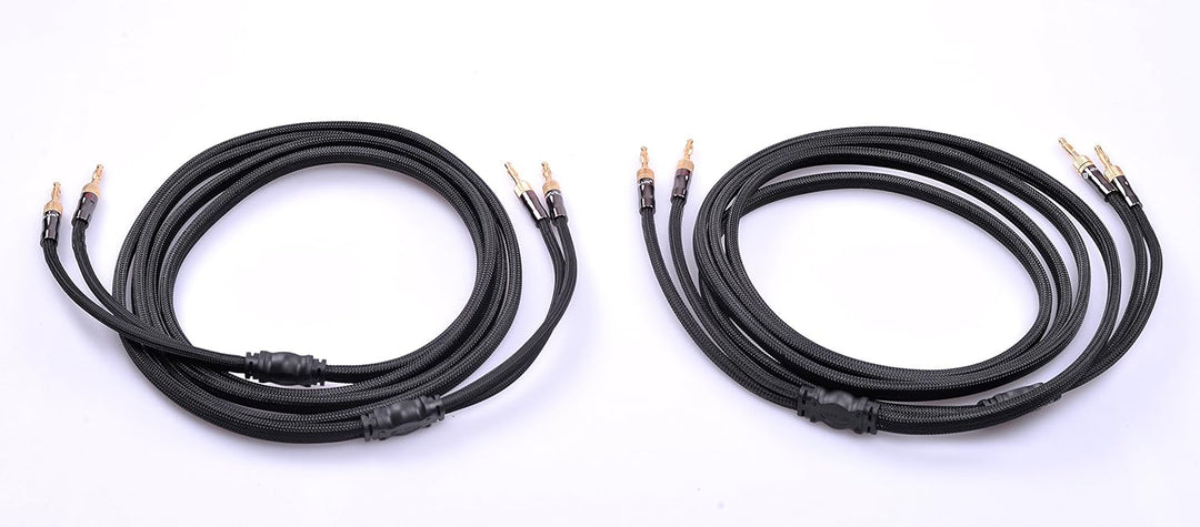 HiViLux HiFi Lautsprecherkabel/Boxenkabel OFC ausschraubbar Bananenstecker für HiFi Stereo Paar (6m