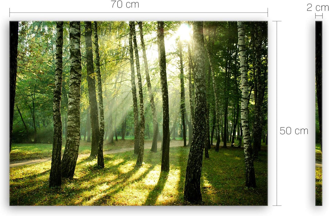 ge Bildet Bild auf Leinwand | Landschaftsbilder - Wald I in 70x50 cm als Wandbild | Wand-deko Dekora