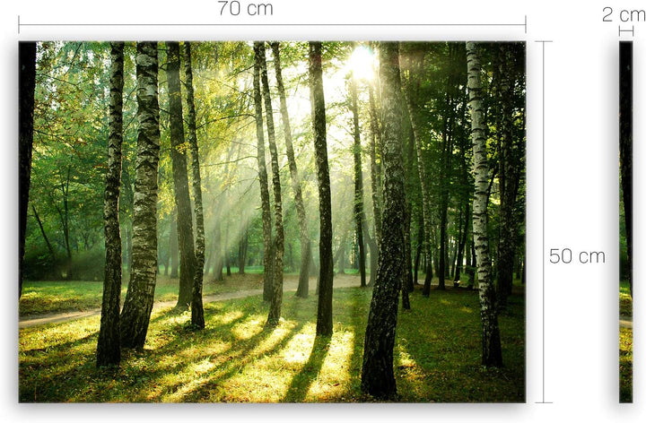 ge Bildet Bild auf Leinwand | Landschaftsbilder - Wald I in 70x50 cm als Wandbild | Wand-deko Dekora