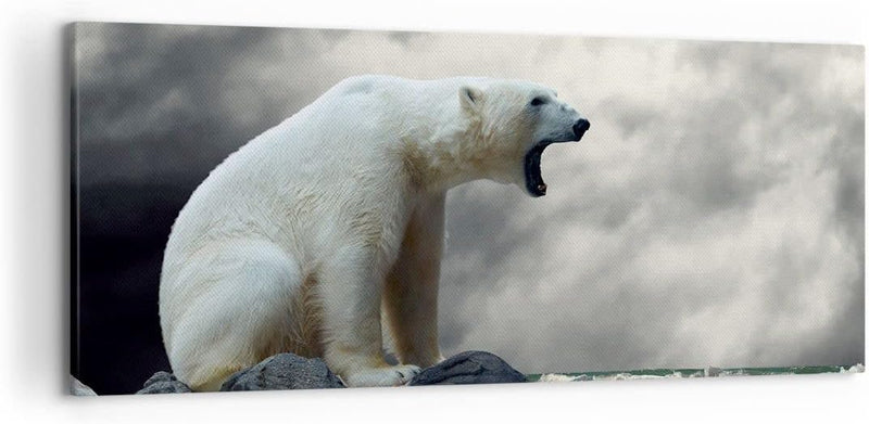 Wandbilder Dekoration Wohnzimmer Bär Tiere Wasser Eis Panorama Bilder auf Leinwand 120x50cm Leinwand