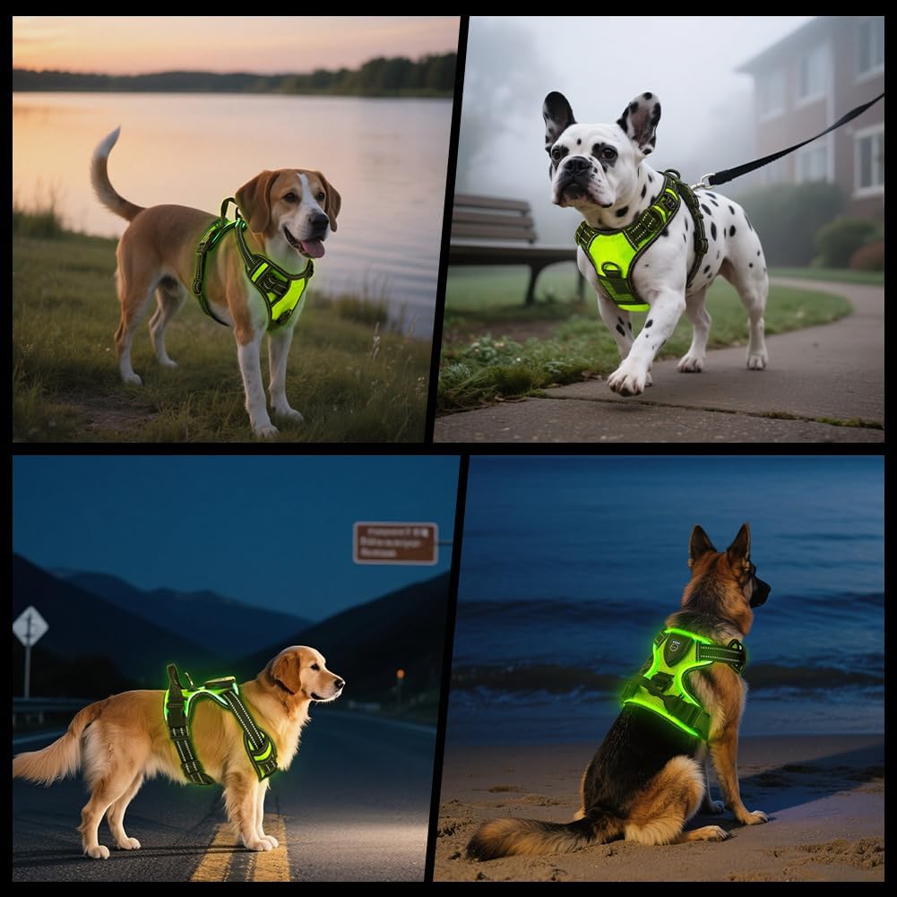 AUAUY Hundegeschirr Leuchtend, Einstellbar Leuchtgeschirr LED Aufladbar Reflektierendes, 3 Modi Atmu
