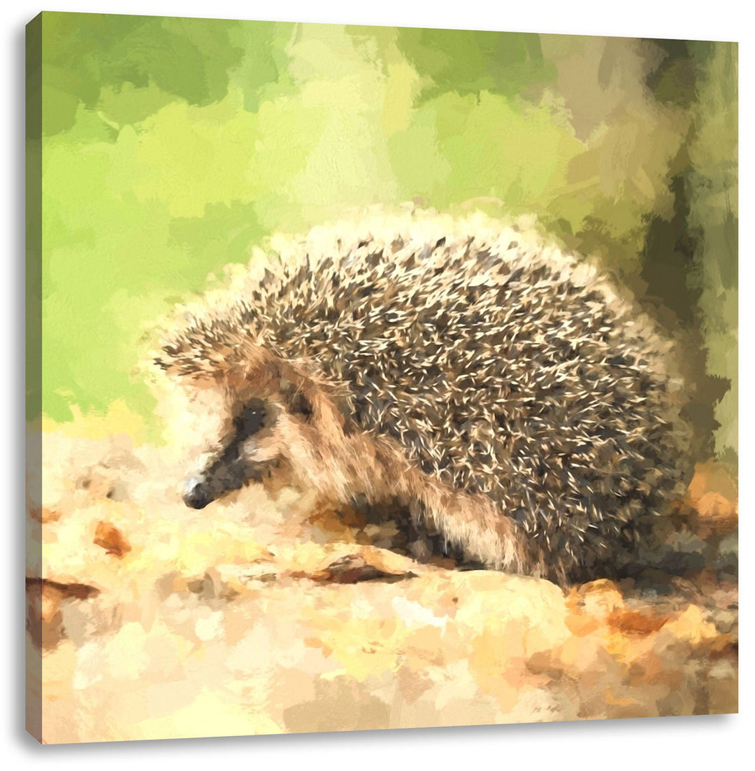 Kleiner süsser Igel, Format: 70x70 auf Leinwand, XXL riesige Bilder fertig gerahmt mit Keilrahmen, K