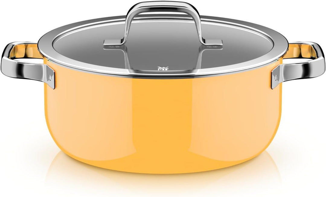 WMF Fusiontec Mineral Pro, Bratentopf, Deckel, 24 cm, langlebiges, kratzfestes Material, Topf Indukt