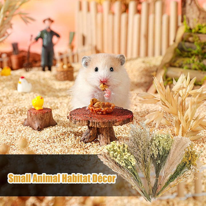 Hamster-Blumeneinstreu, Kleintier-Blumen, Lebensraum-Dekoration, Mäuse, Lebensraum, Dekoration, natü