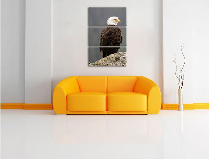 Pixxprint wachsamer Adler auf Fels als Leinwandbild/Grösse: 3 Teilig (120x80) cm/Wandbild/Kunstdruck