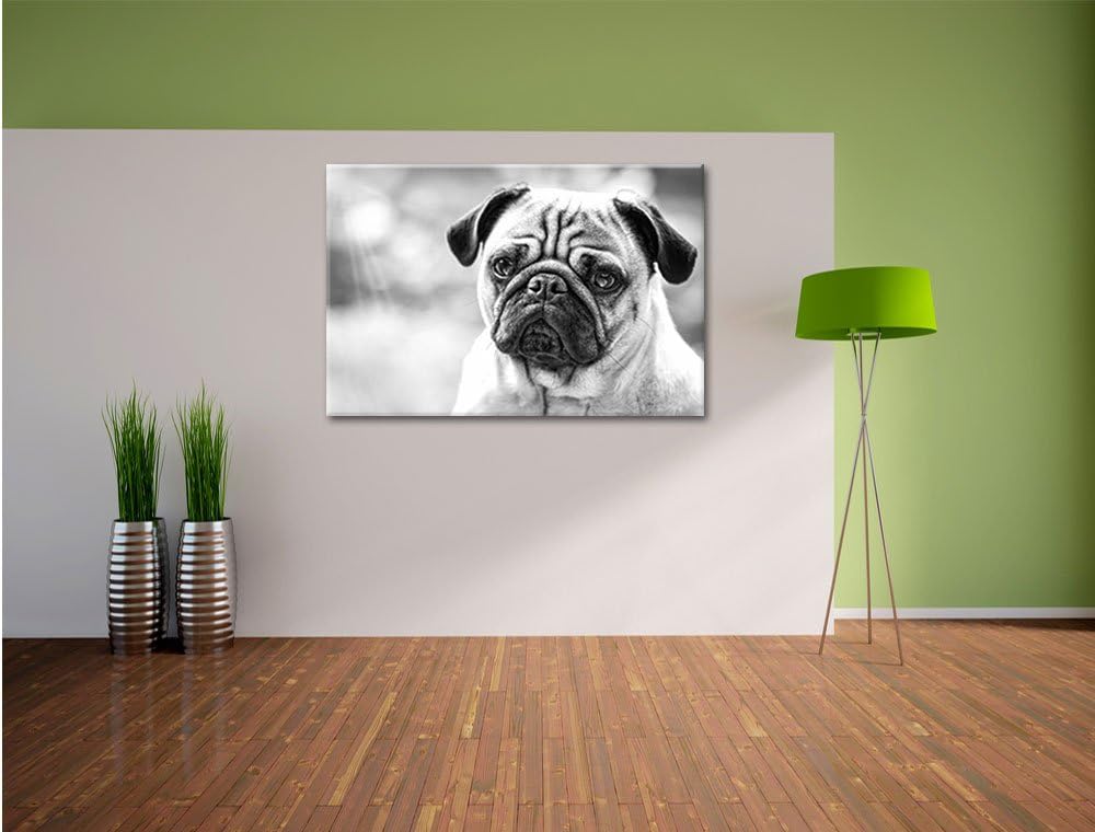 Mopsporträt Kunst B&W, Format: 100x70 auf Leinwand, XXL riesige Bilder fertig gerahmt mit Keilrahmen