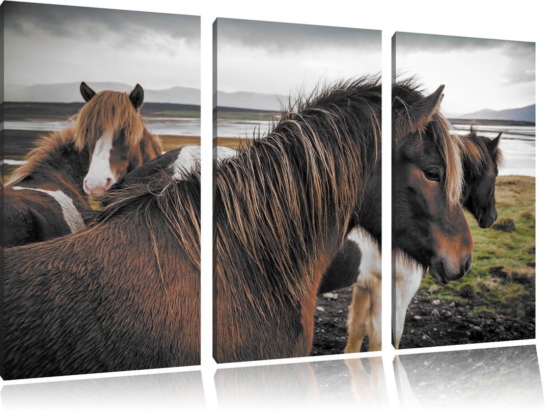 Pixxprint Herde aus schönen Wildpferden / 3-Teilig/Gesamtmass 120cm Leinwandbild bespannt auf Holzra
