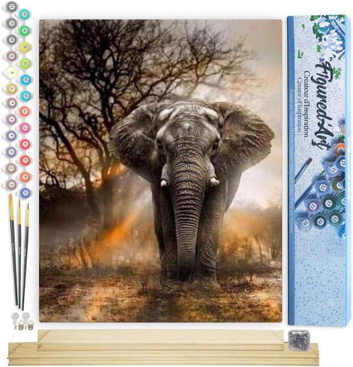 Figured'Art Malen Nach Zahlen Erwachsene Mit Rahmen Einsamer Elefant - Paint by Numbers Basteln DIY