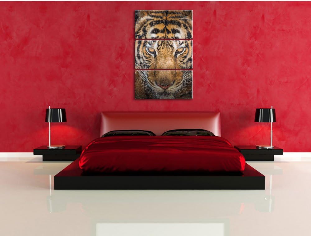Pixxprint Tiger mit hellbraunen Augen / 3-Teilig/Gesamtmass 120cm Leinwandbild bespannt auf Holzrahm