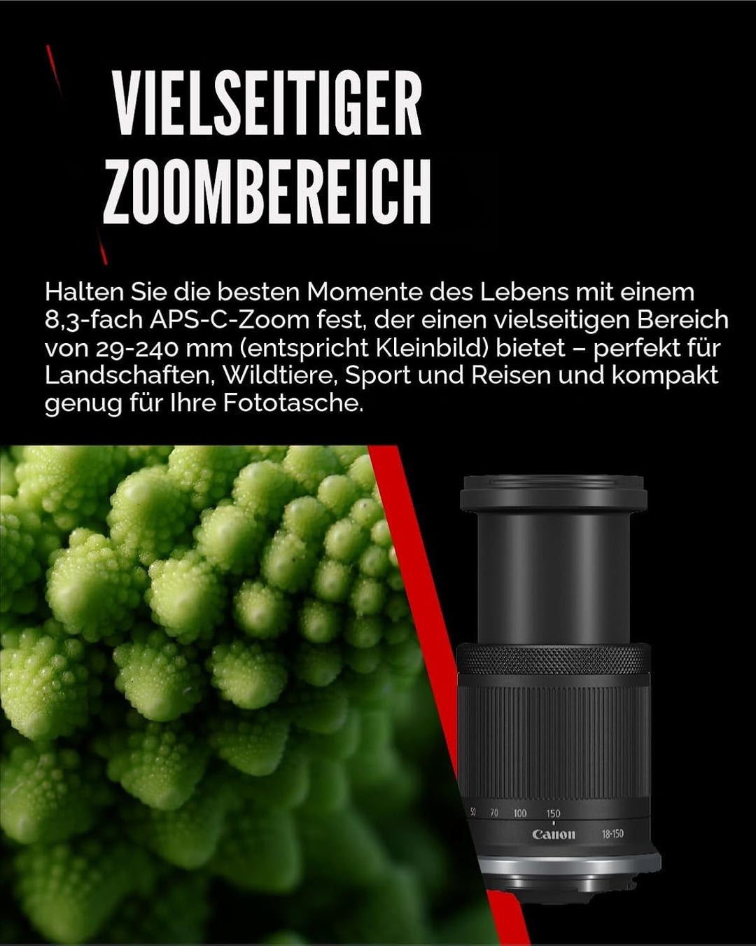 Canon RF-S Objektiv 18-150mm F3.5-6.3 IS STM – Zoomobjektiv mit 4,5-Stufen-Stabilisator für Reisen &amp;