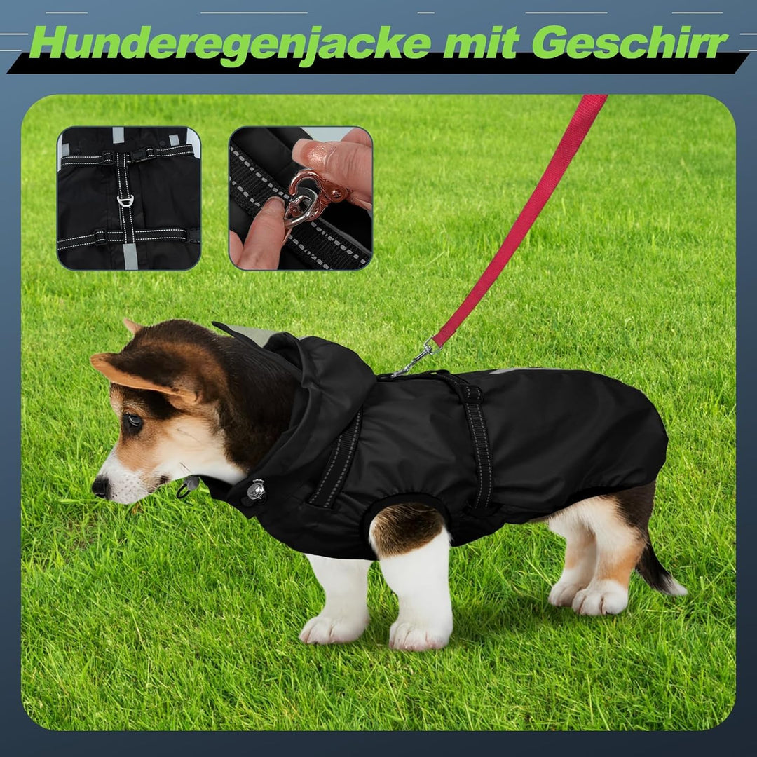 Hunderegenmantel wasserdicht, Regenjacke mit reflektierenden Streifen, H-Brustgeschirr (D-Ring) & Ab