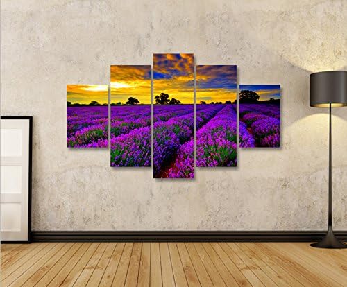 islandburner Bild Bilder auf Leinwand Lavendelfeld V4 Lavendel Provence MF XXL Poster Leinwandbild W