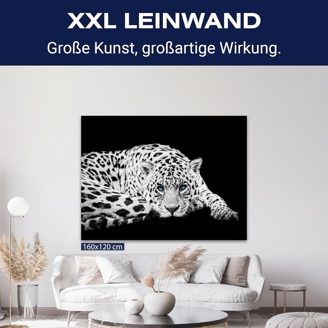 wandmotiv24 Leinwandbild Schwarz-Weiss 80x60cm, Querformat, Leopard, Deko, Bilder auf Leinwand, Wand